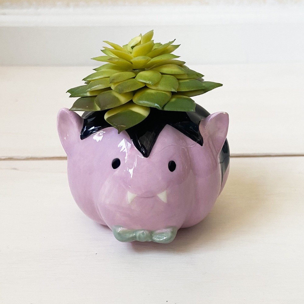 Vampire succulent